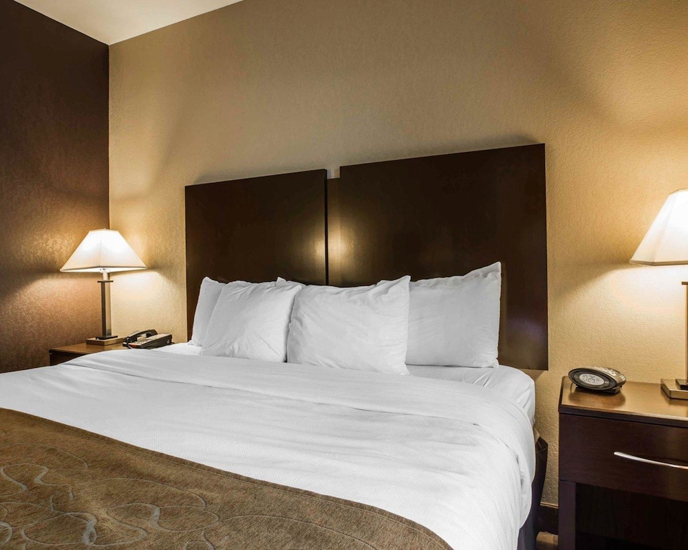Comfort Suites Whitsett - Greensboro East Whitsett NC 15/41
