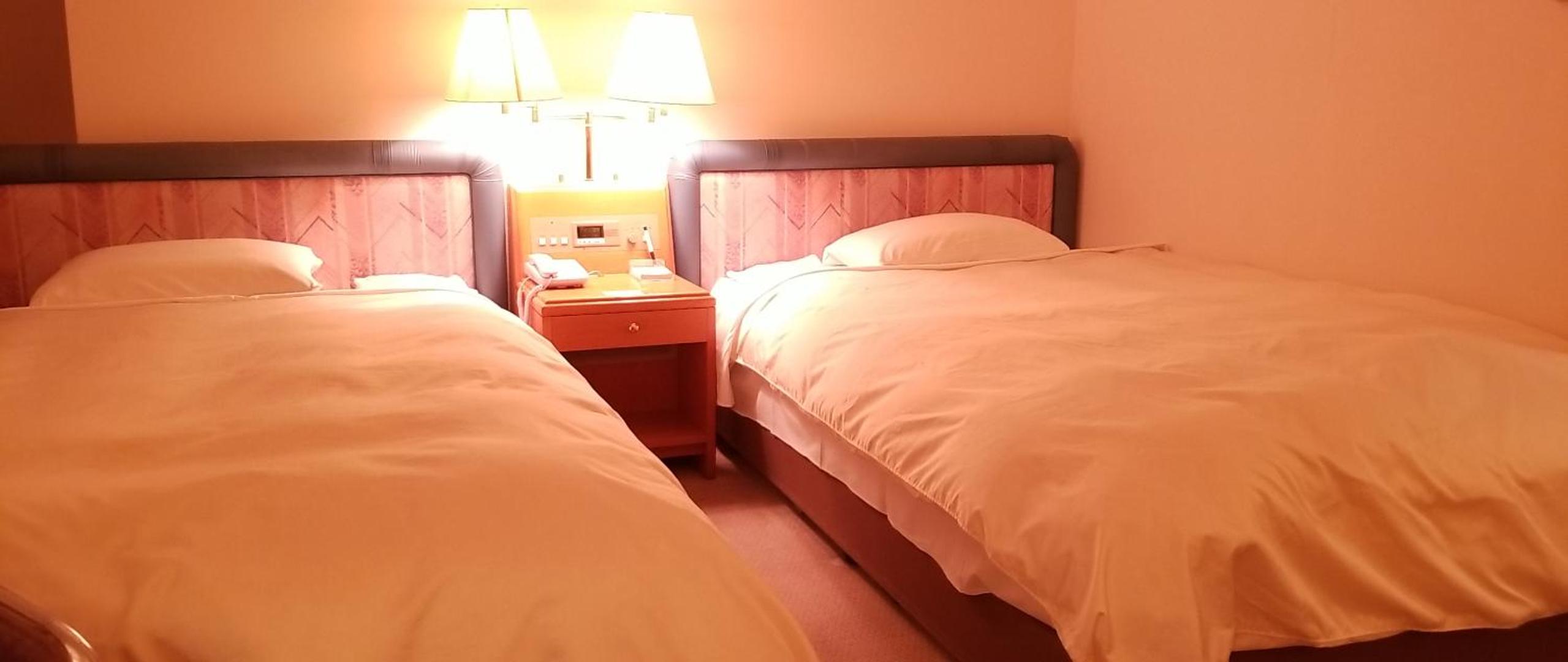 غرفة ديلوكس بسرير فردي، Hotel Grand Terrace Toyama 3/6