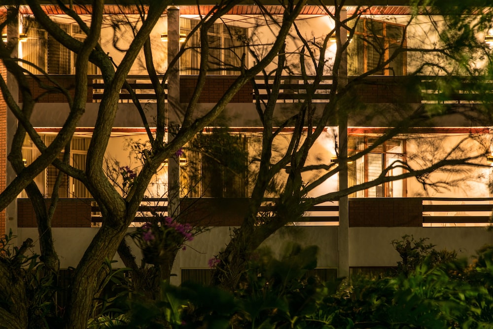 Hotel Bougainvillea San Jose 53/66