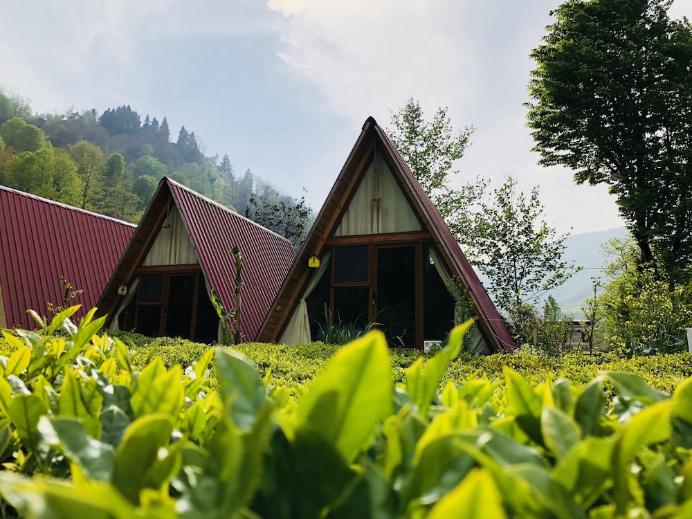 Tabiat Bungalows 2/50