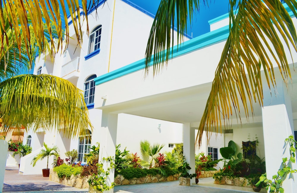Corales Suites 2/50