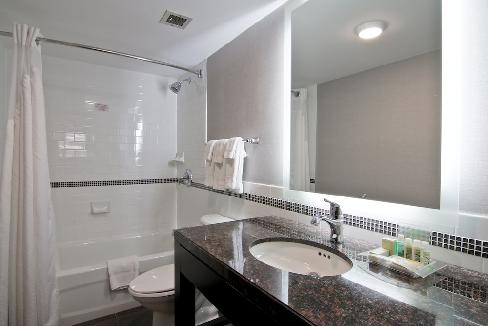 Holiday Inn Hotel Suites St Catharines Conference Ctr 20/81