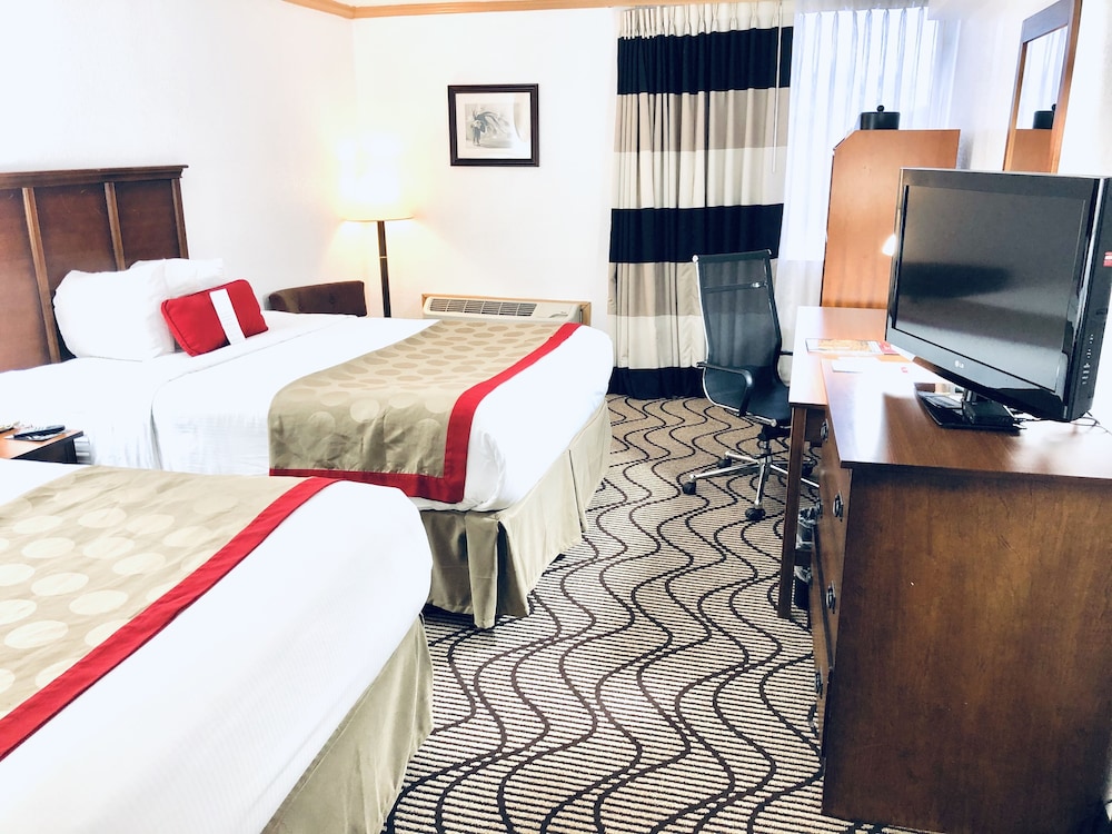 Ramada By Wyndham Birmingham Airport 16/31