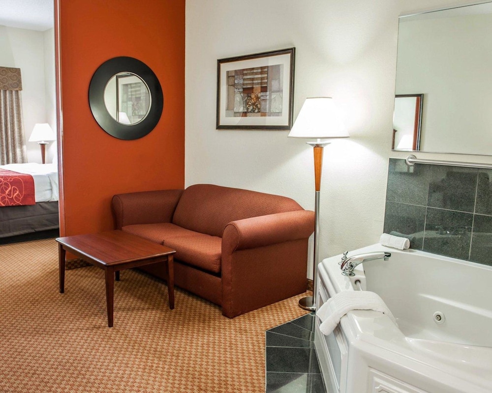 Comfort Suites near Indianapolis Airport 29/51