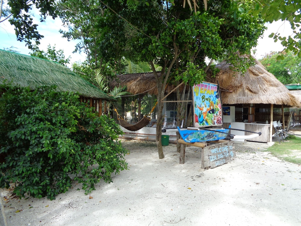 Sea Turtle House 27/50