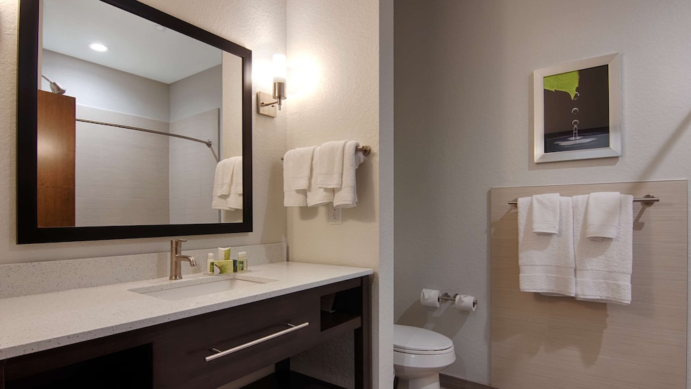 Best Western Plus College Station Inn and Suites 15/35