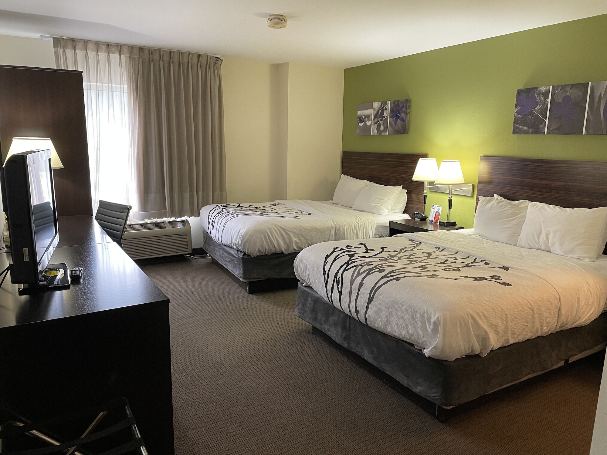 STANDARD, 2 QUEEN BEDS
