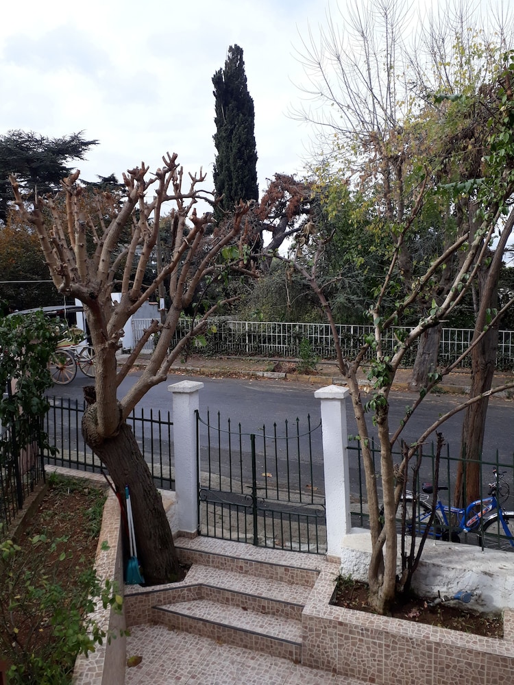 Orhan Kutbay'in Evi Turyolu Cafe Pansiyon 46/50