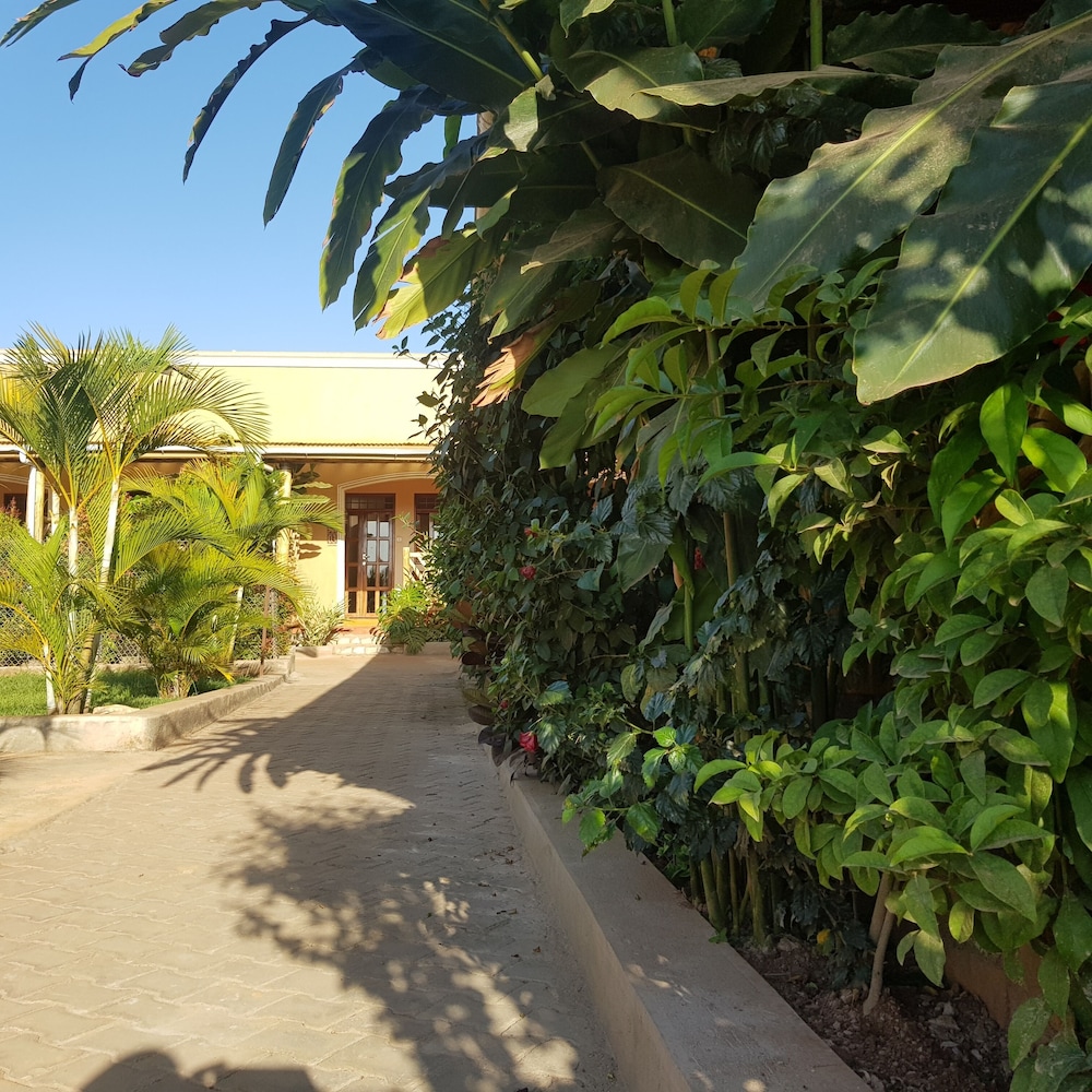 African Roots Guesthouse 31/47