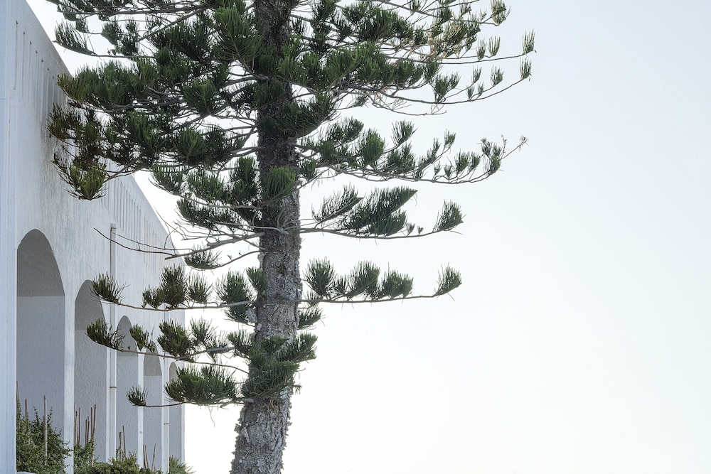 Maritimo Beach Hotel 59/65
