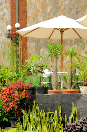 NUWIS Hotel & Convention، Ambarawa 11/11
