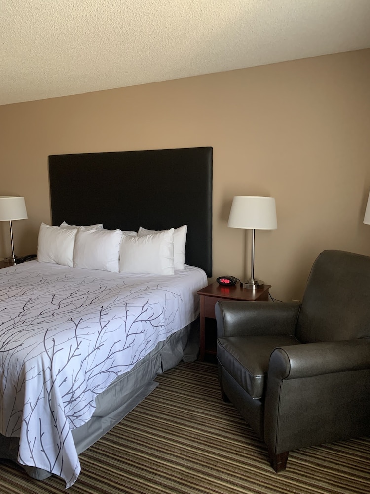Best Western Park Oasis Inn 16/34