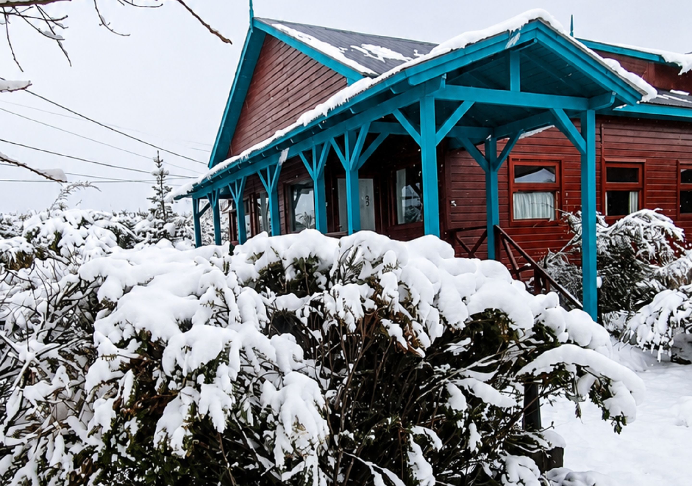 HOSTERIA HAINEN 4/50