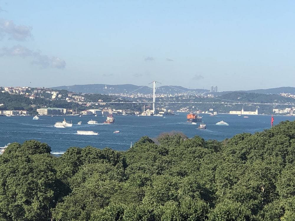 Albatros Hagia Sophia 45/50
