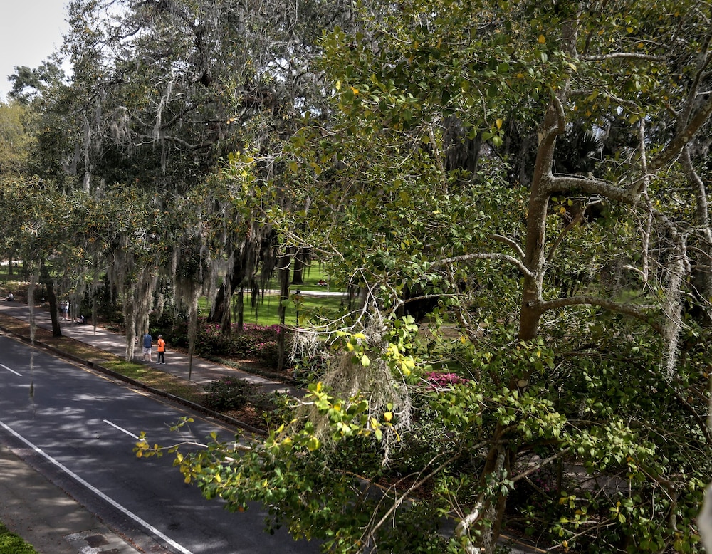 Forsyth Park Inn 44/50