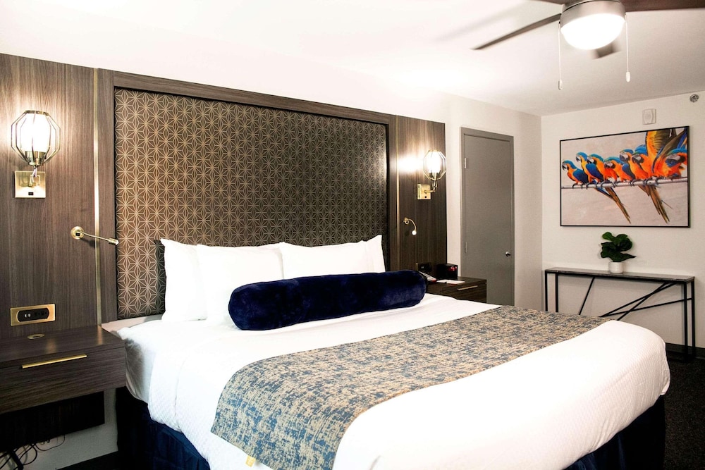 Room, King Bed, Accessible