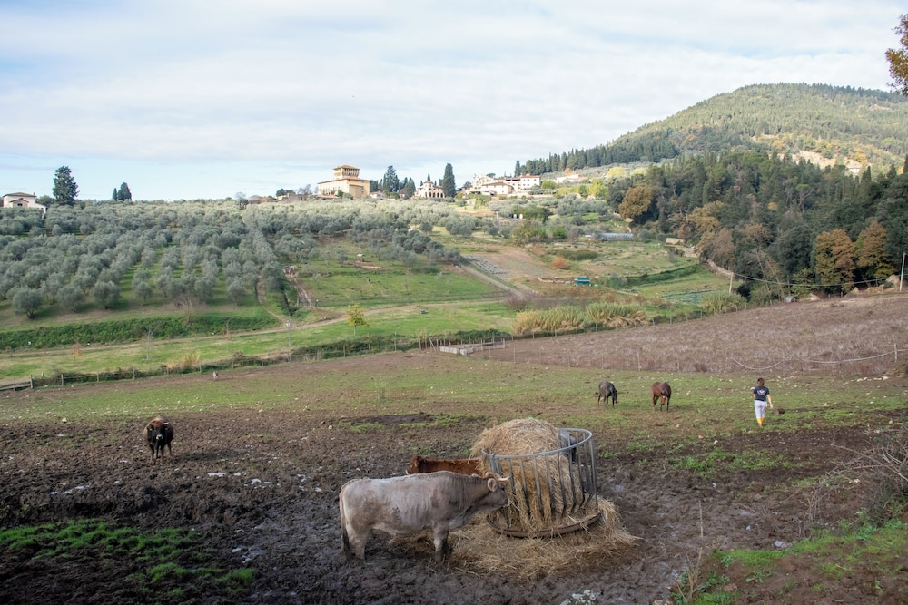 Fattoria Di Maiano 29/30