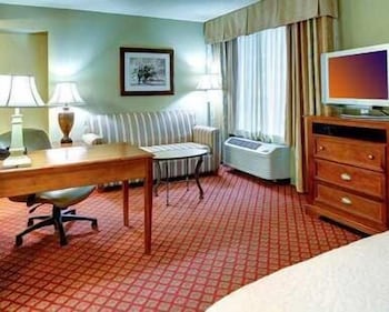 Hampton Inn Suites Greenville 39/44
