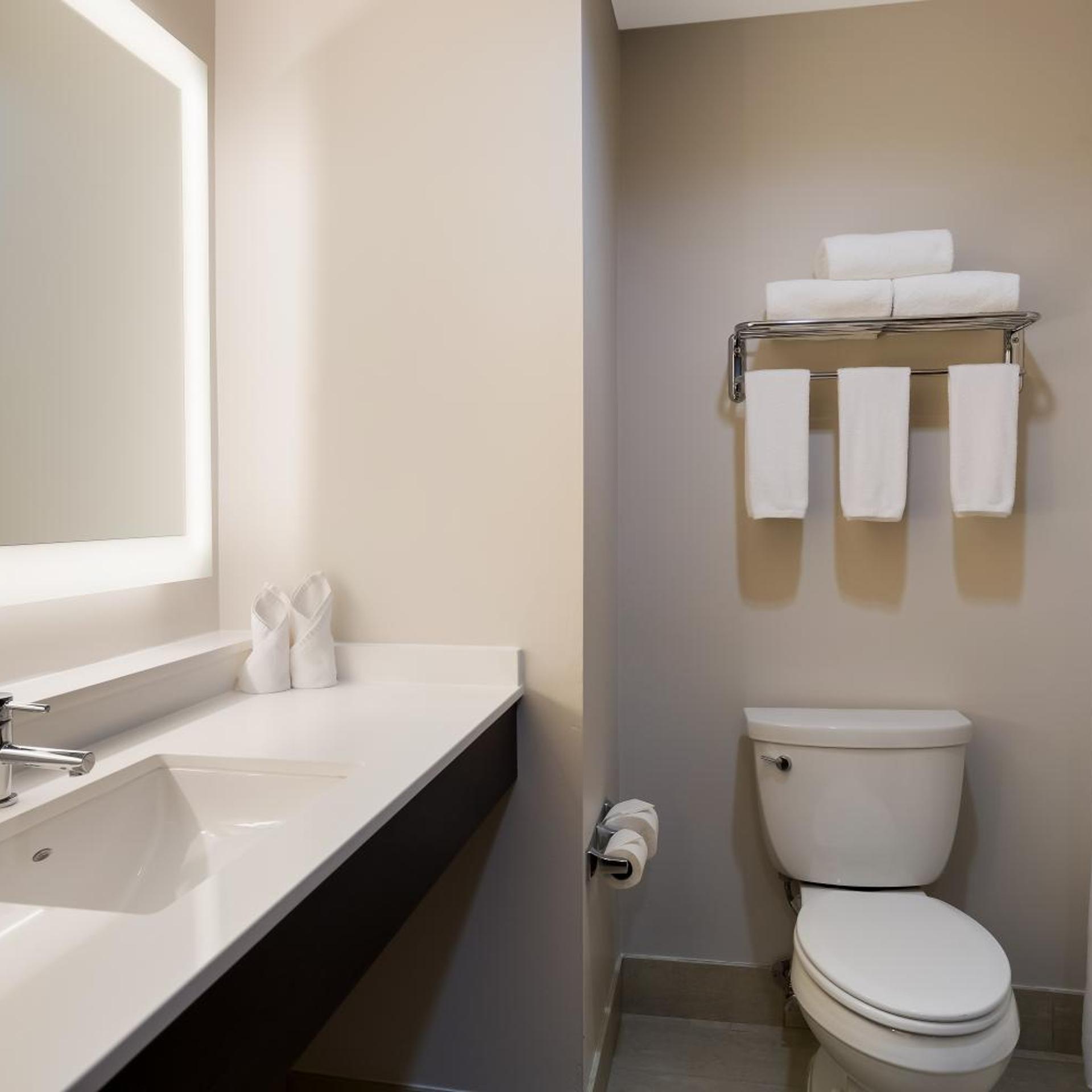 جناح بسرير كينج مع أريكة، Holiday Inn Express Hotel & Suites Newton Sparta 7/10