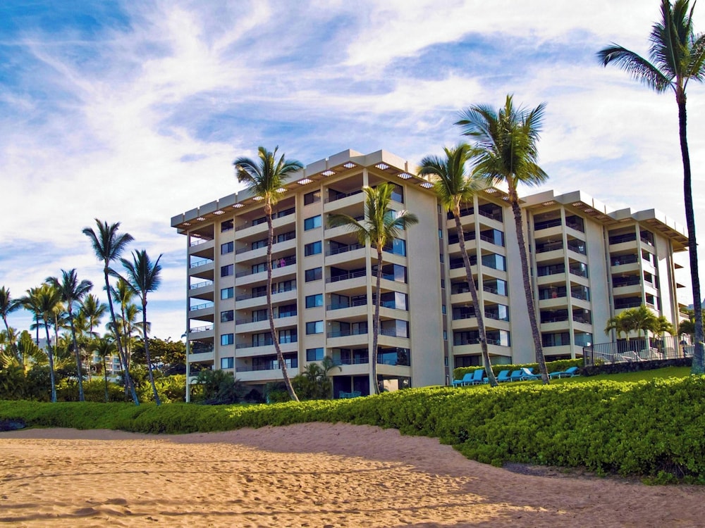 Polo Beach Club A Destination Residence 3/78