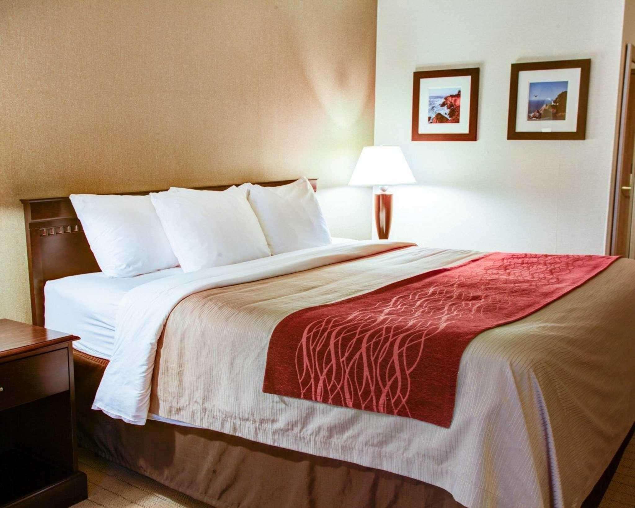 Room, King Bed