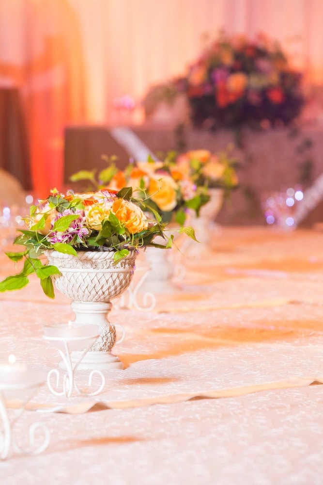 セレクトロイヤル八代 写真2