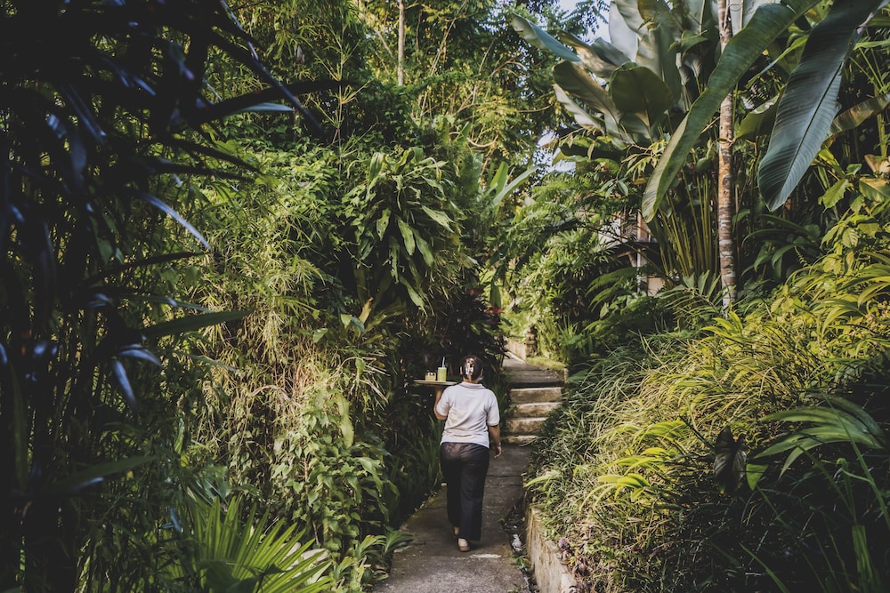 Luwak Ubud Villas 43/50
