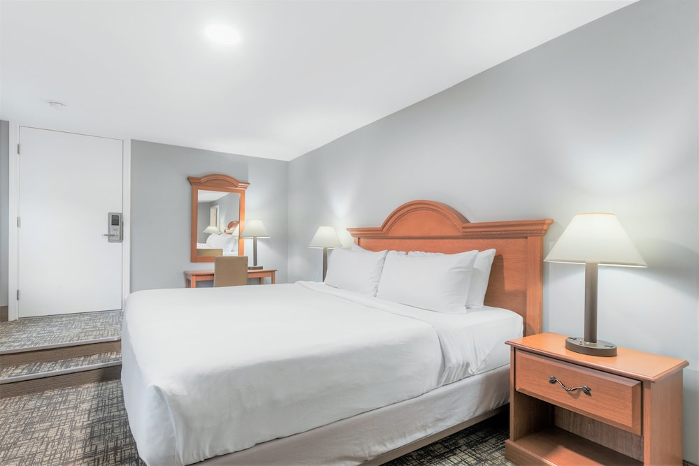 Standard, King Bed, Road Side