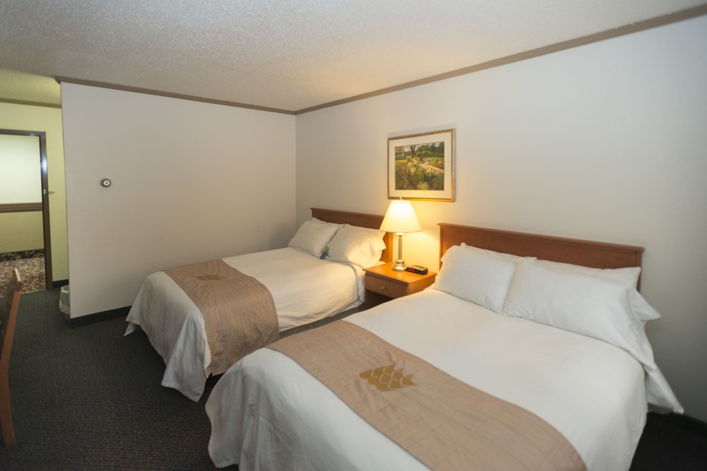 Days Inn by Wyndham Drayton Valley 8/50