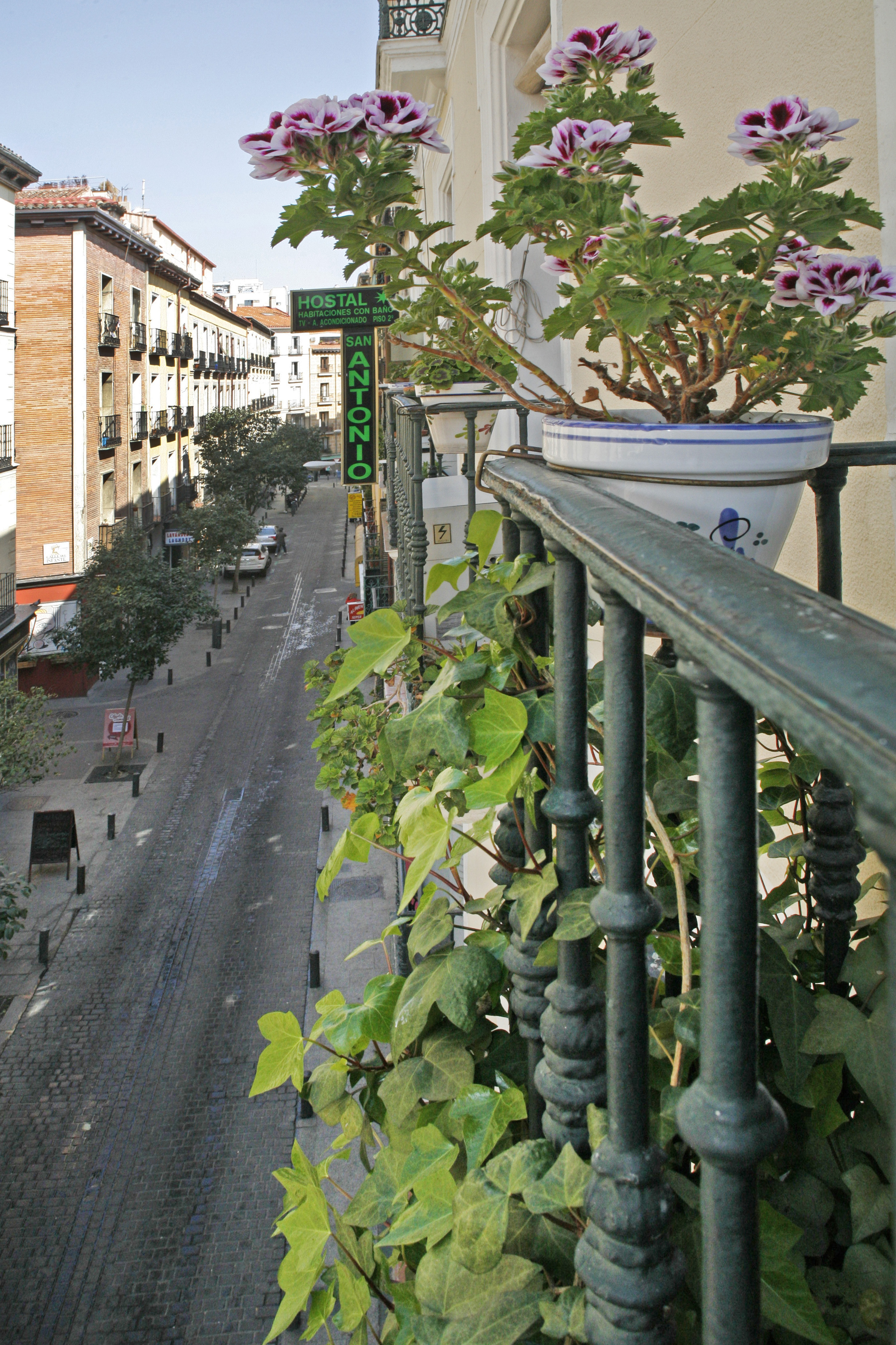 Hostal San Antonio 41/50