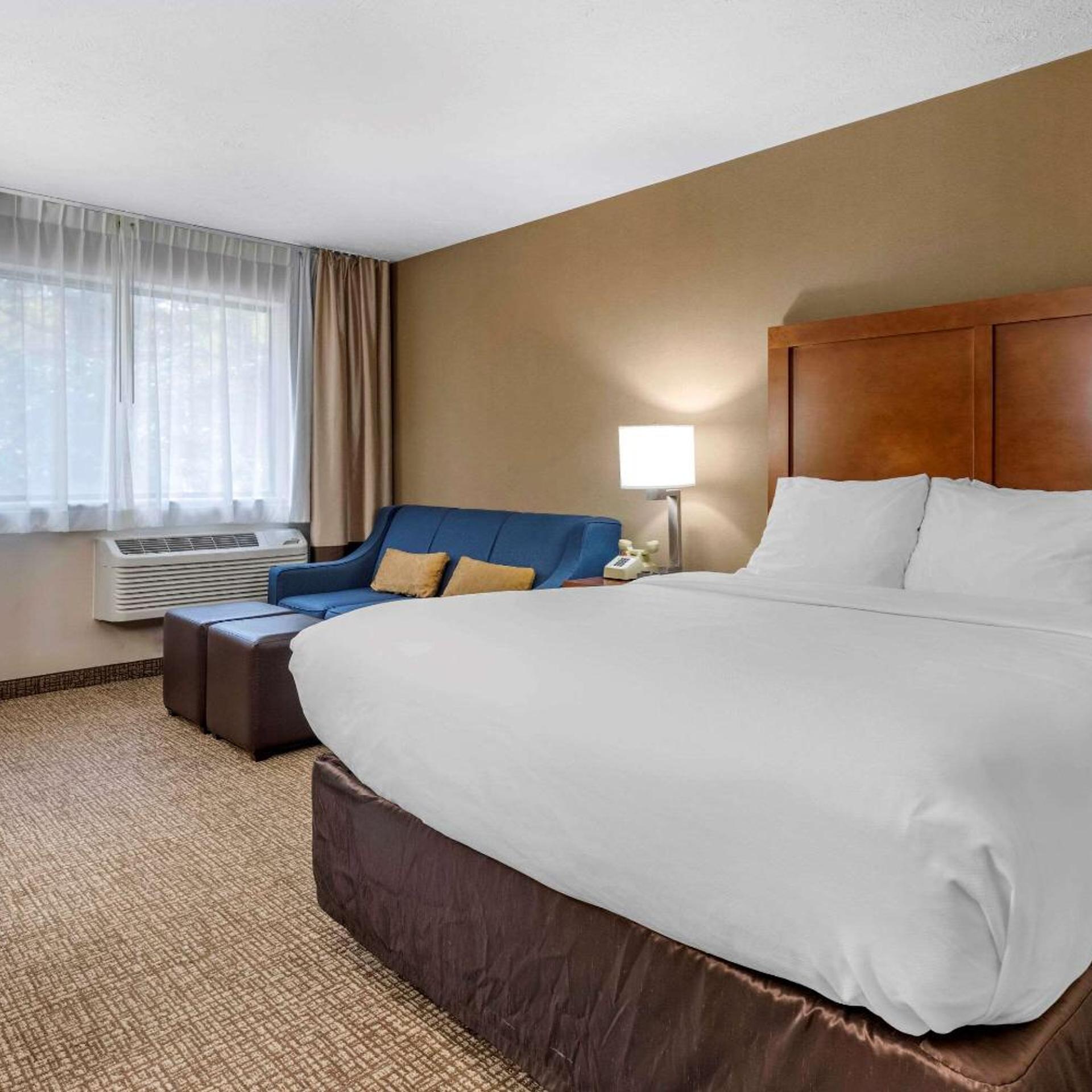 Room, Queen Bed, Sofa