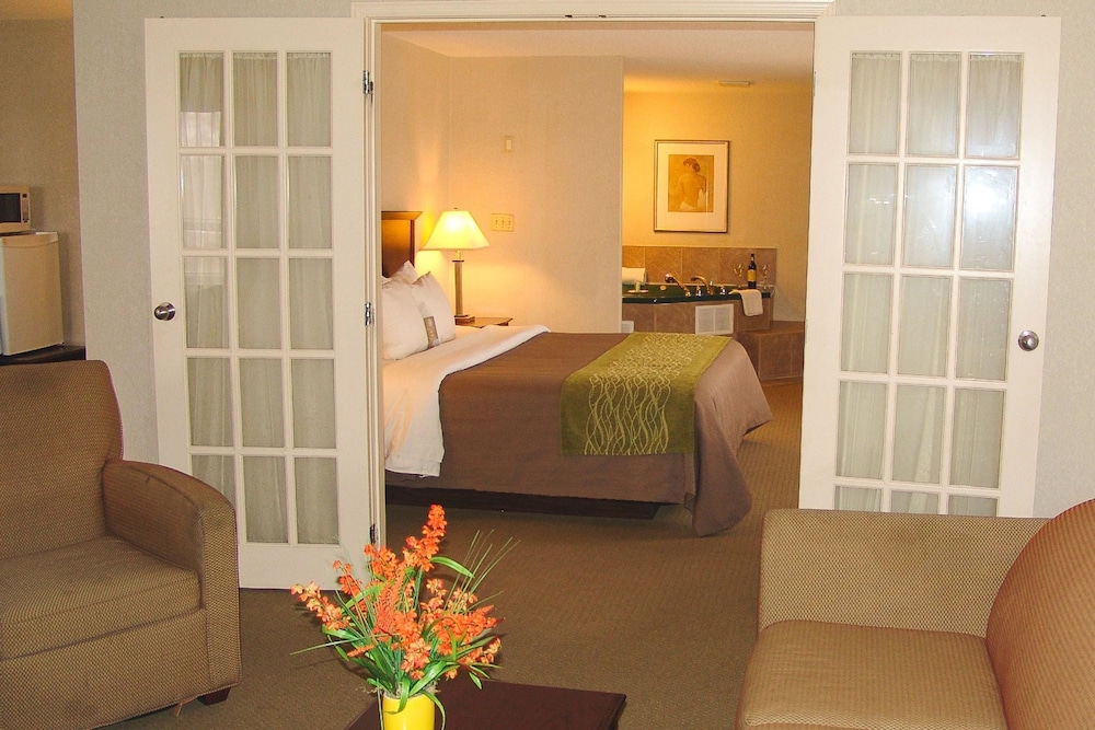 Comfort Inn & Suites Barrie 20/51