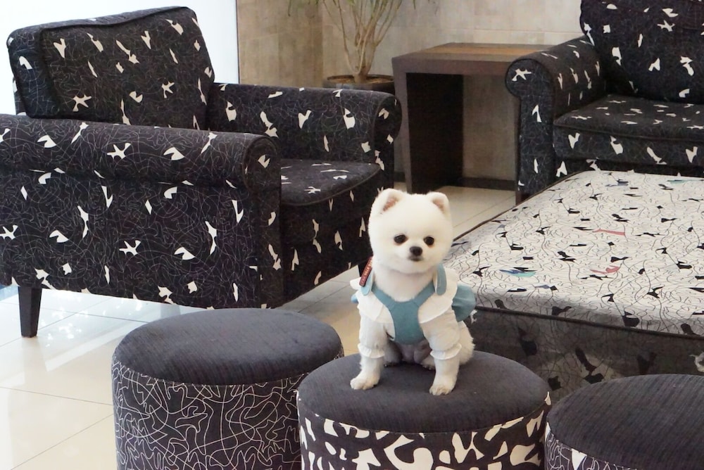 Hi Jeju Hotel 4/50