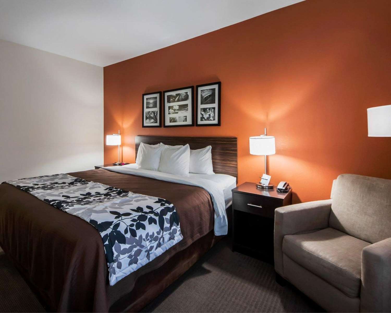 Room, King Bed