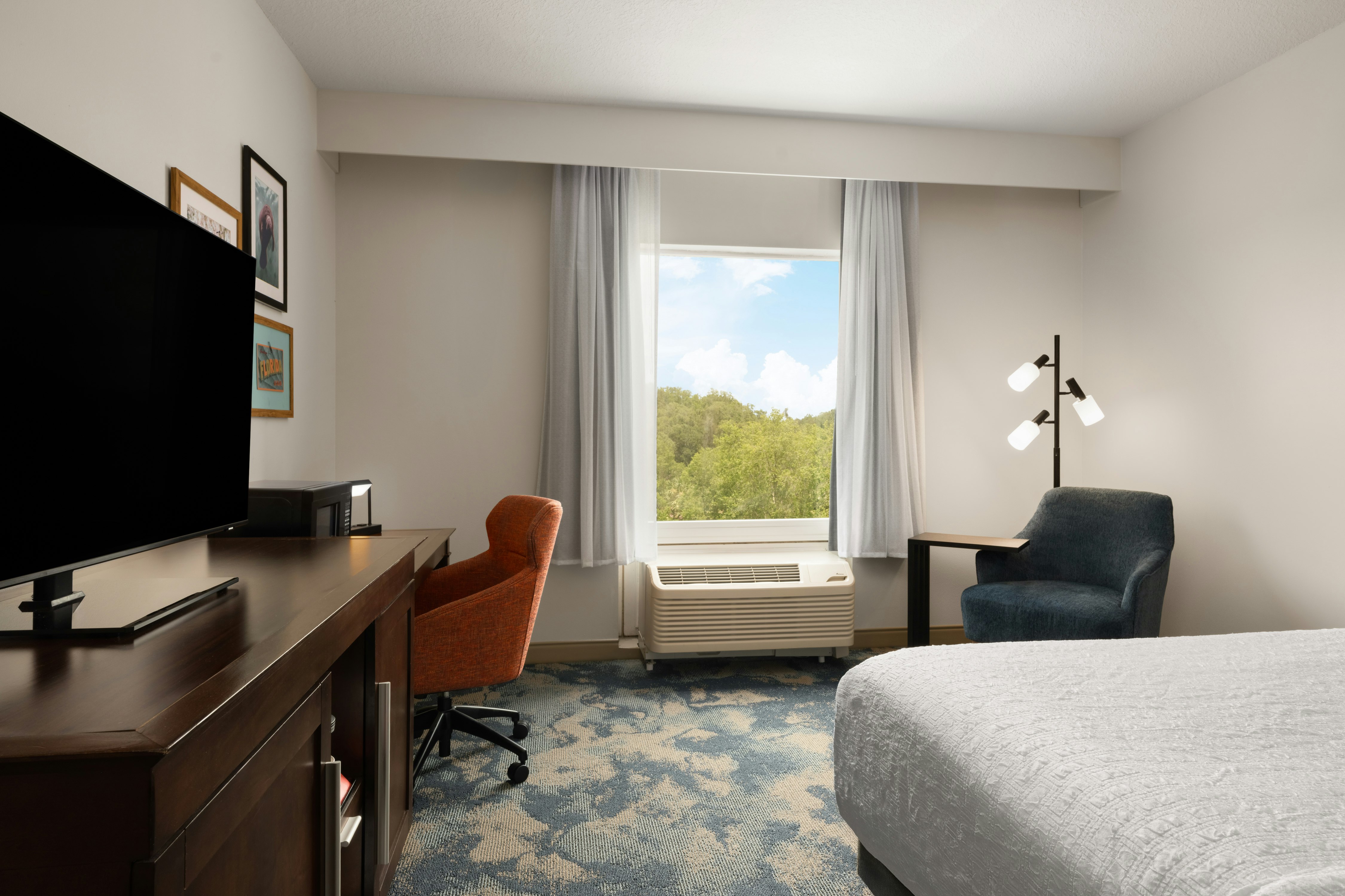 غرفة بسرير كينج لذوي الإعاقة، Hampton Inn Suites Deland 5/10