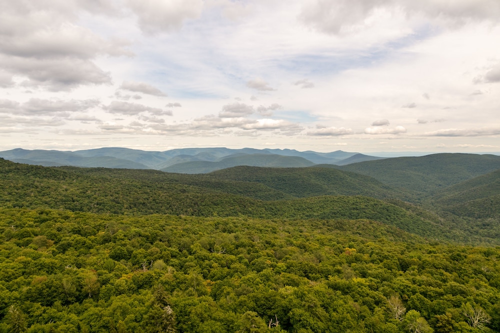 Urban Cowboy Lodge - Catskills 53/60