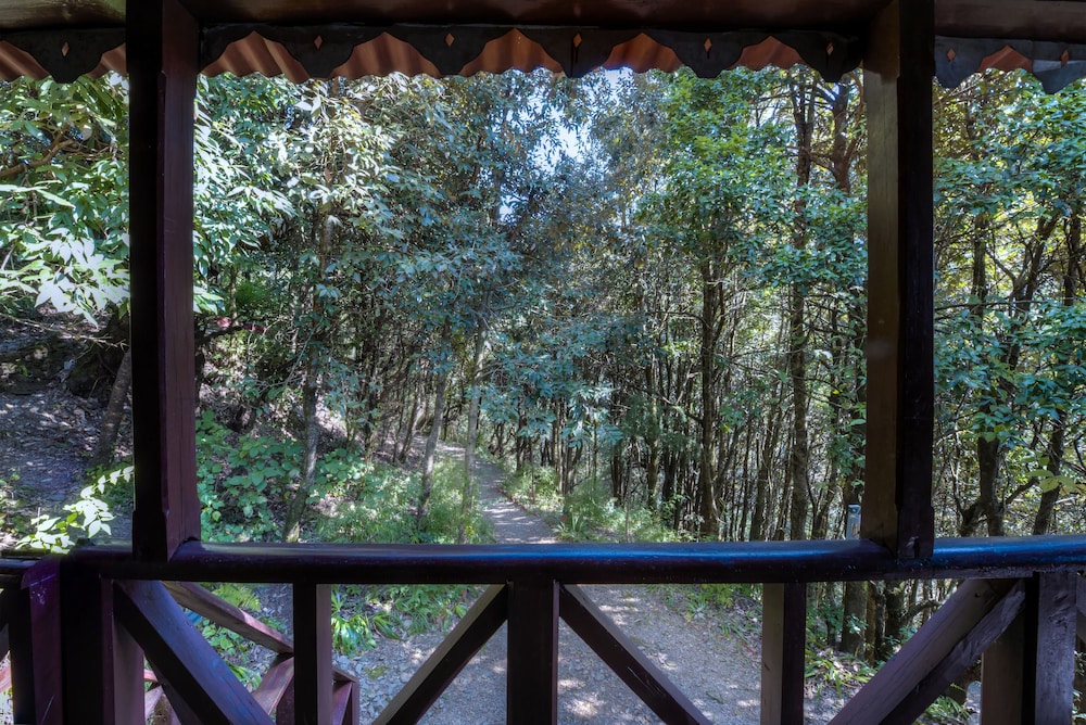 Jungle Lore Birding Lodge 8/29