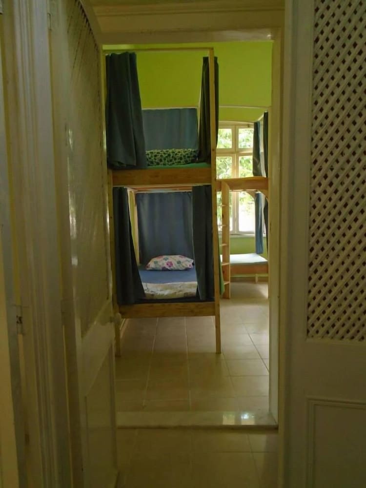 Lotus花园旅舍(Lotus Garden Hostel) 图片2