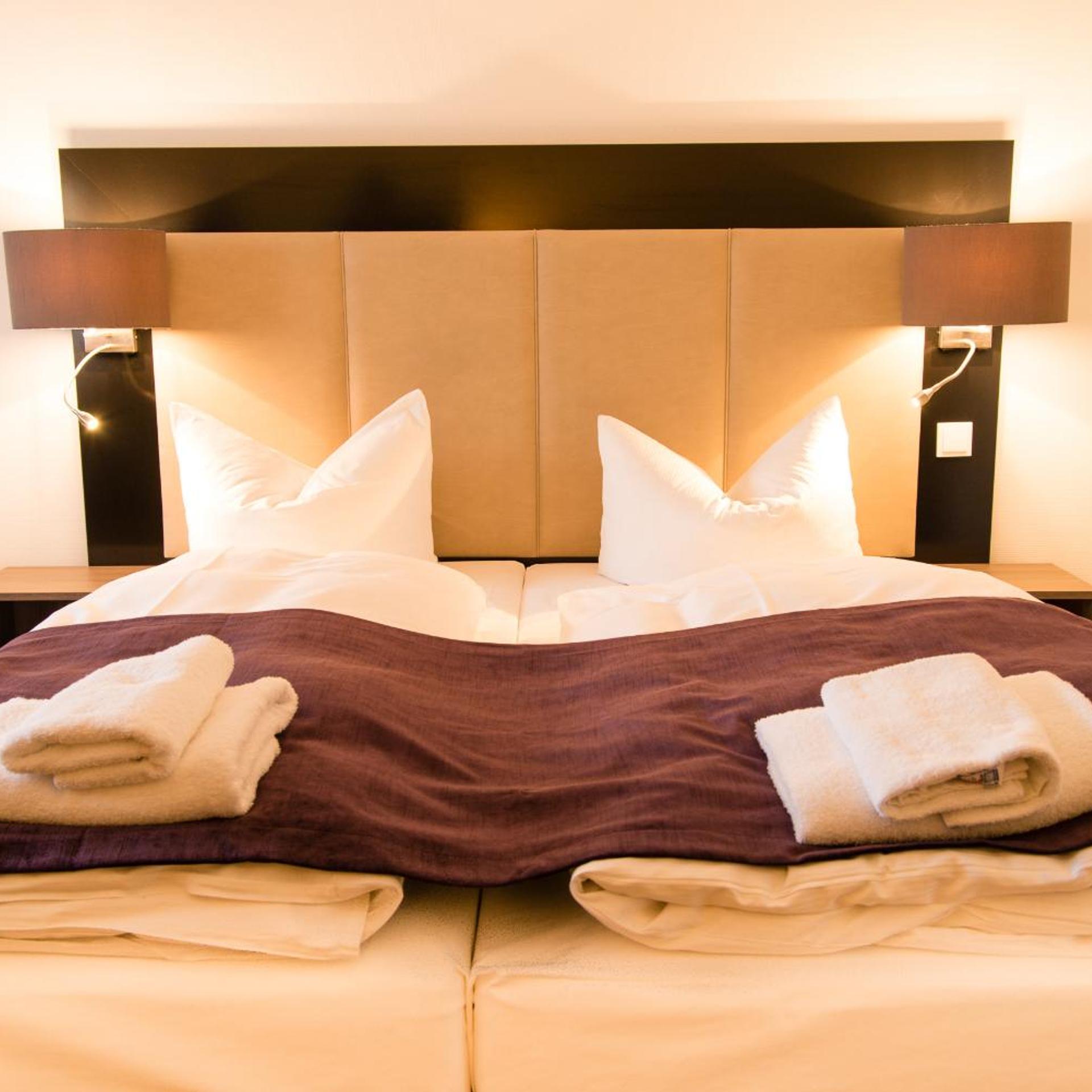 غرفة بسرير مزدوج أو سريرين منفصلين، Goethe Business Hotel 8/10