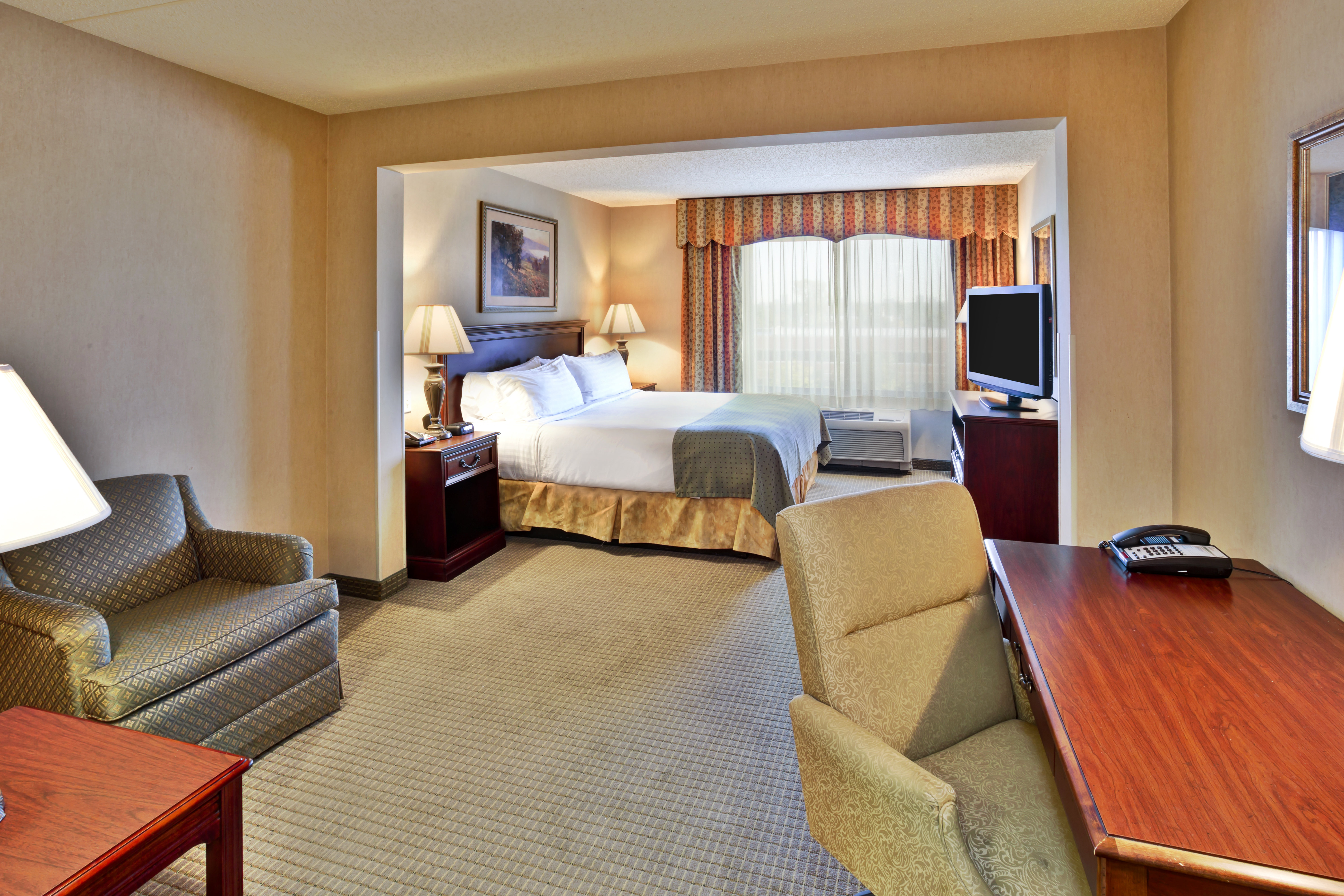 Holiday Inn Hotel Suites Ann Arbor Univ Michigan 16/73