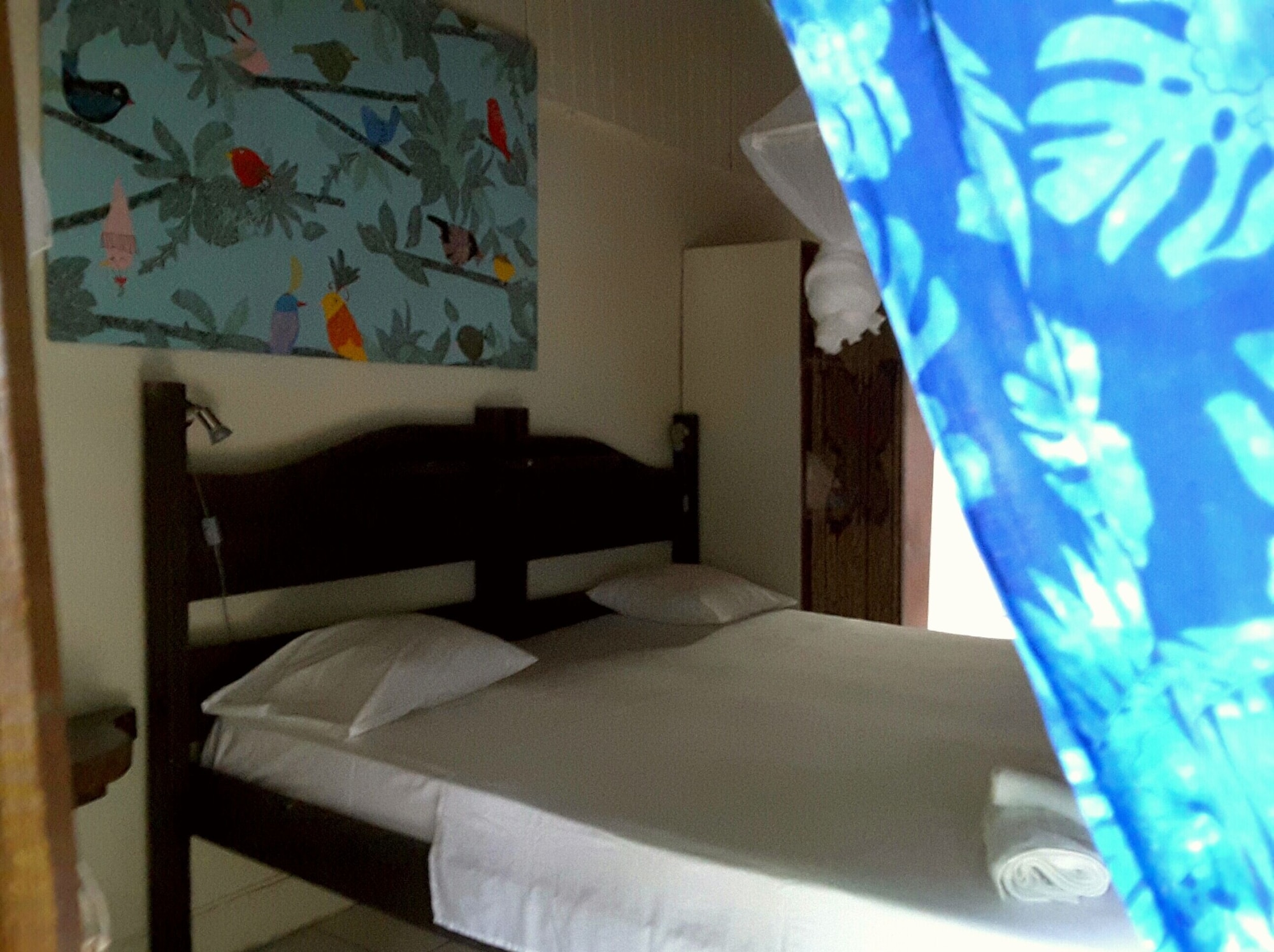Nature, Bungalow, 4 Beds, with Fan, Hibiscus Valley Inn 7/8