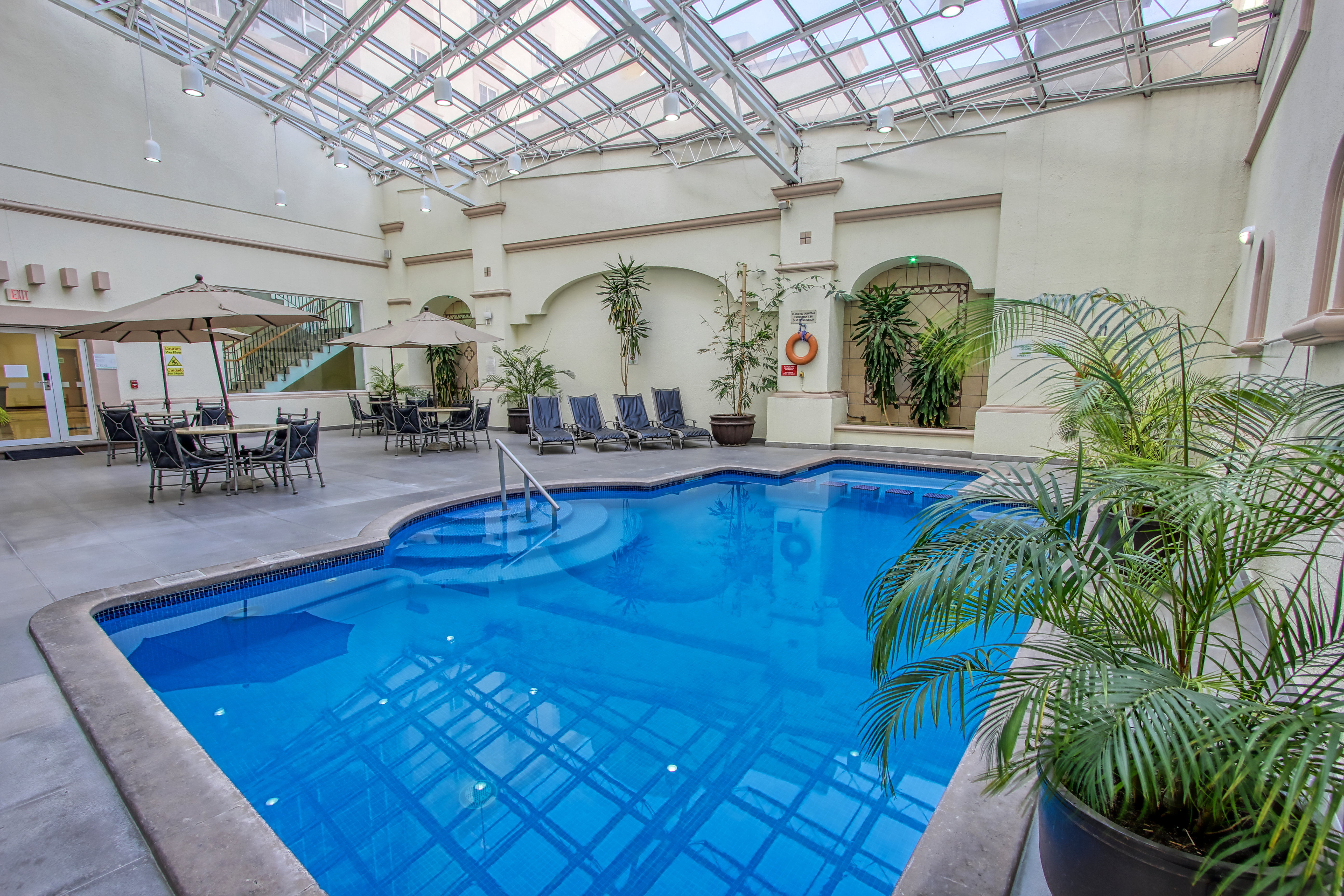 Holiday Inn Leon-Convention Center, an IHG Hotel 14/50