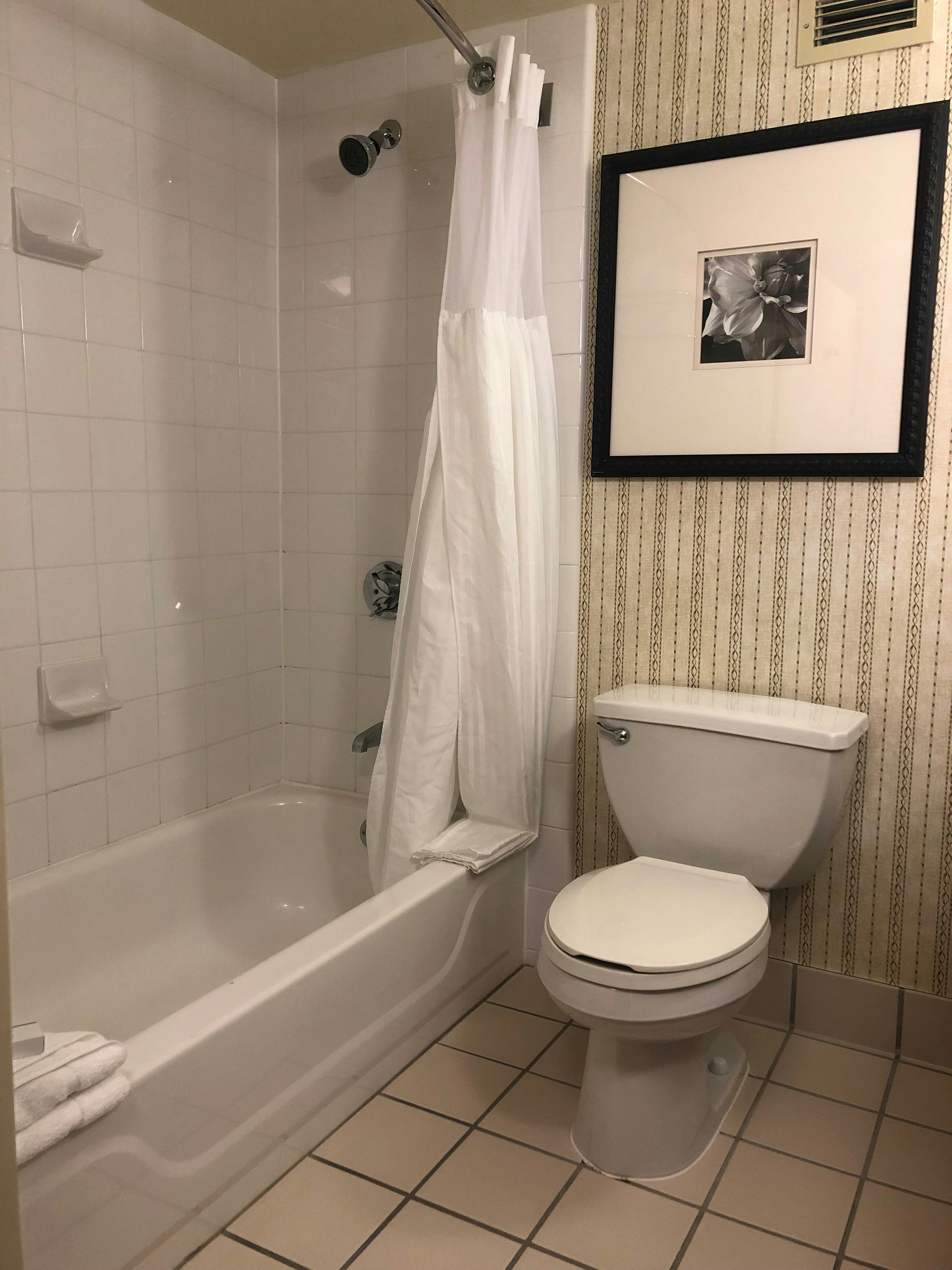 Hilton Garden Inn Addison, IL 43/43