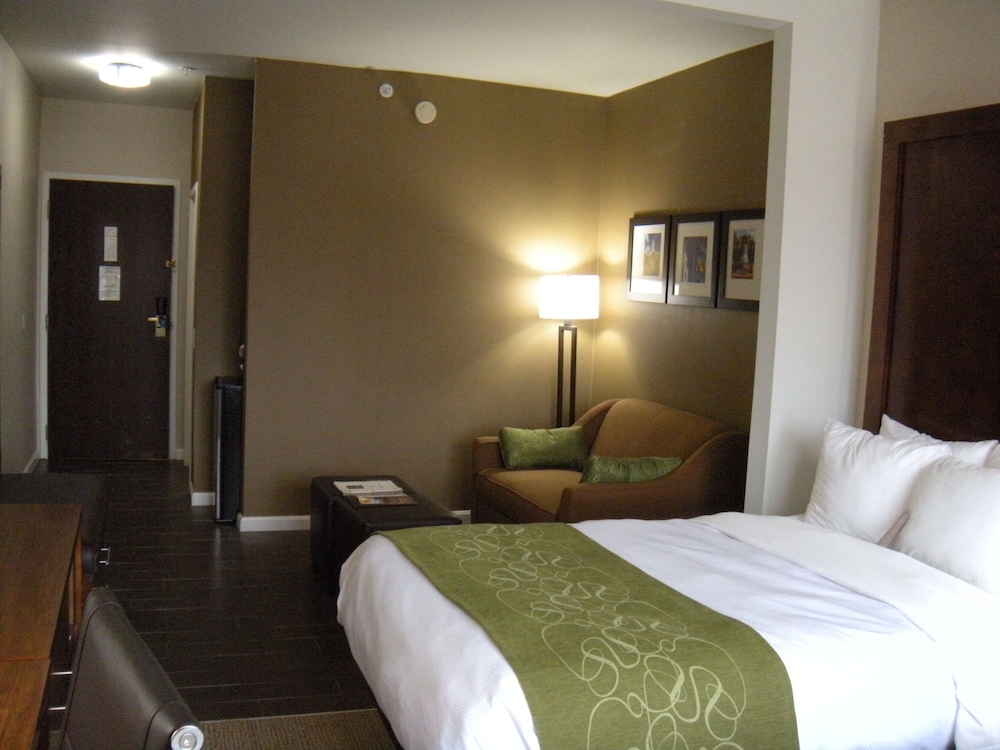 Comfort Suites Dover University Area 10/36