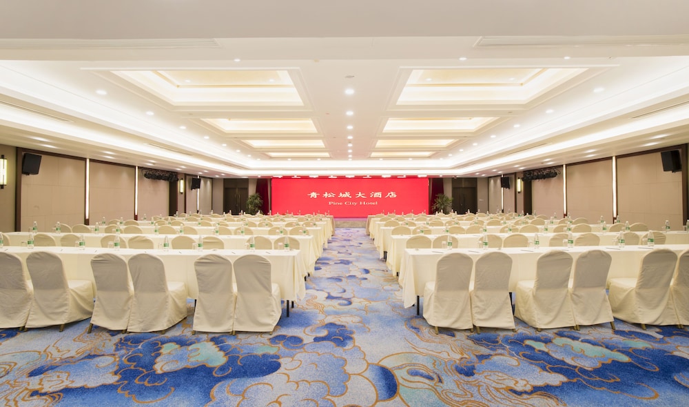 Jin Jiang Pine City Hotel 41/50