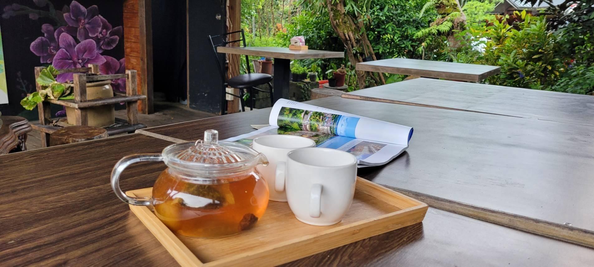 Reishi Expert B&amp;B 18/26