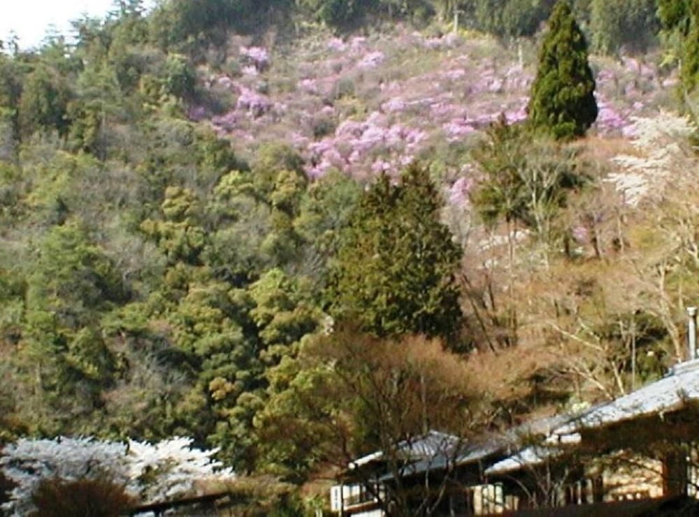 Takao Kanko Hotel 45/50