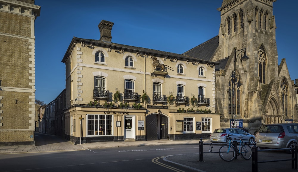 The Golden Lion 64/66