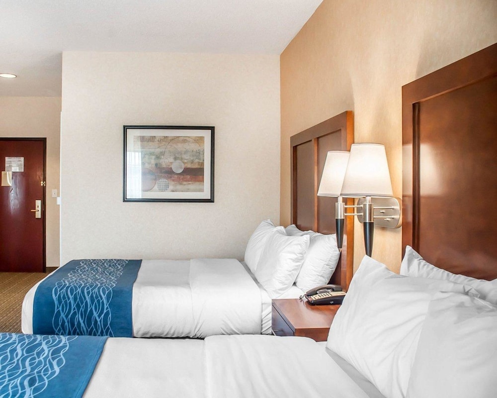 Comfort Inn & Suites Hamburg - Buffalo South 6/29
