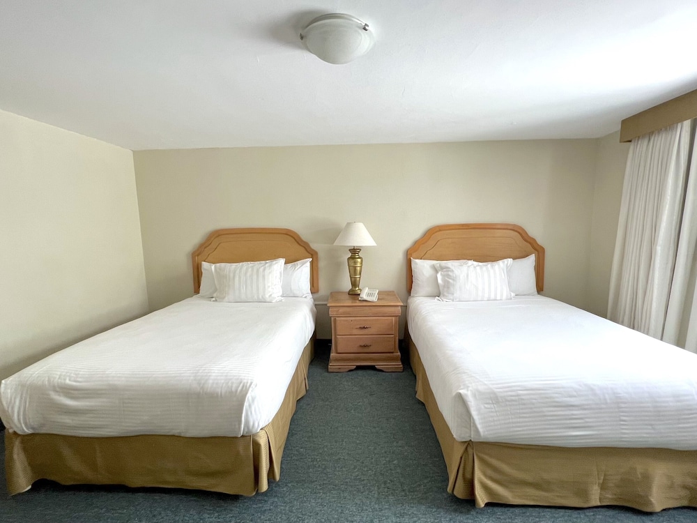 Biohotel 13/67